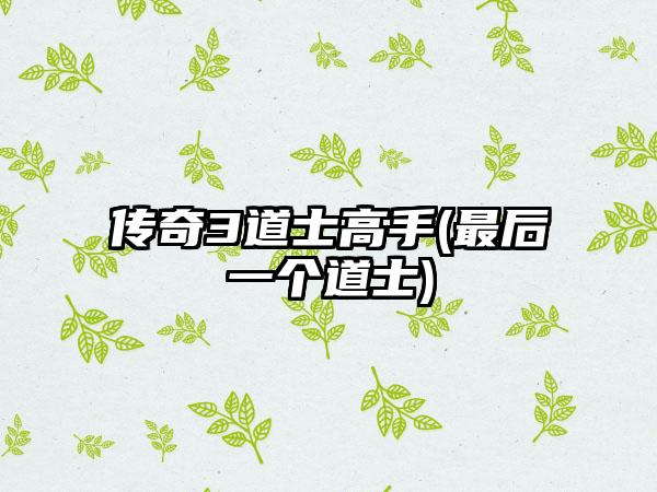 传奇3道士高手(最后一个道士)