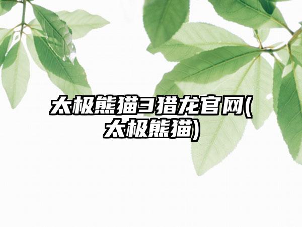 太极熊猫3猎龙官网(太极熊猫)