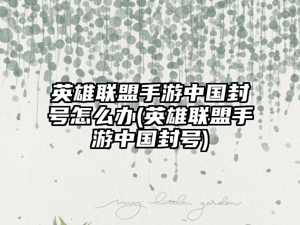 英雄联盟手游中国封号怎么办(英雄联盟手游中国封号)