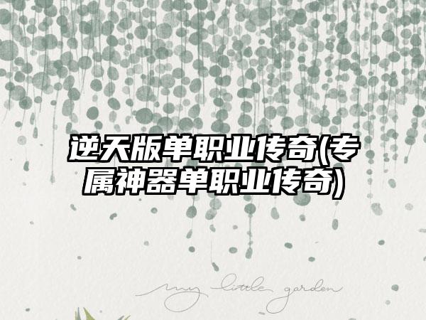 逆天版单职业传奇(专属神器单职业传奇)