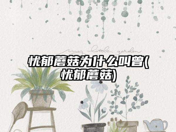 忧郁蘑菇为什么叫曾(忧郁蘑菇)