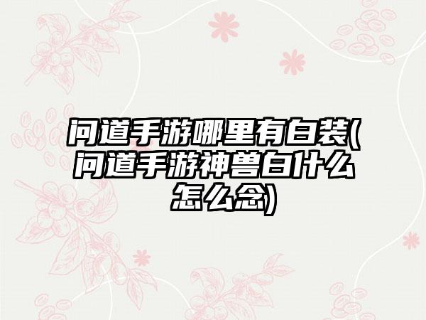 问道手游哪里有白装(问道手游神兽白什么 怎么念)
