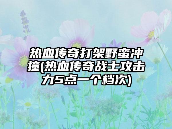 热血传奇打架野蛮冲撞(热血传奇战士攻击力5点一个档次)