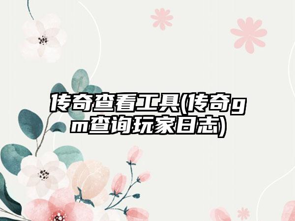 传奇查看工具(传奇gm查询玩家日志)