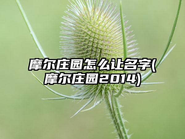 摩尔庄园怎么让名字(摩尔庄园2014)