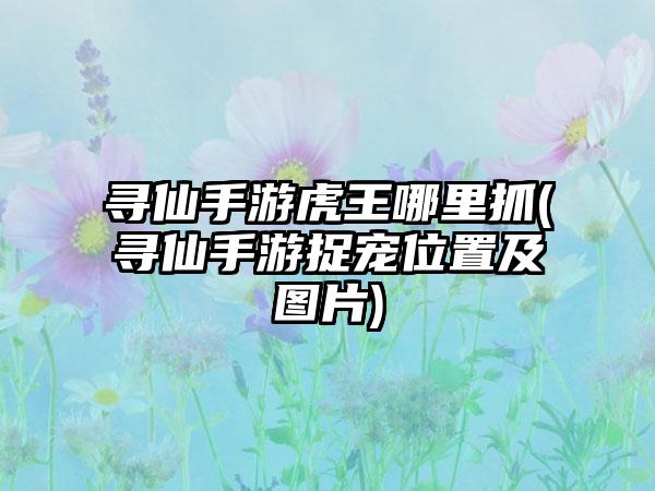 寻仙手游虎王哪里抓(寻仙手游捉宠位置及图片)