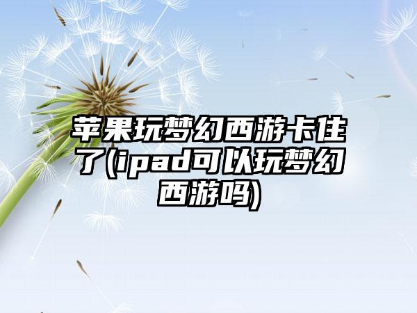 苹果玩梦幻西游卡住了(ipad可以玩梦幻西游吗)