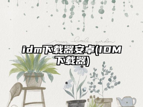 idm下载器安卓(IDM下载器)