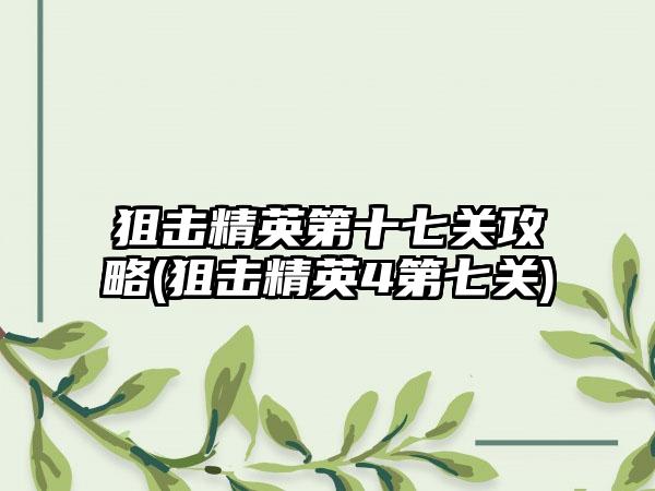 狙击精英第十七关攻略(狙击精英4第七关)