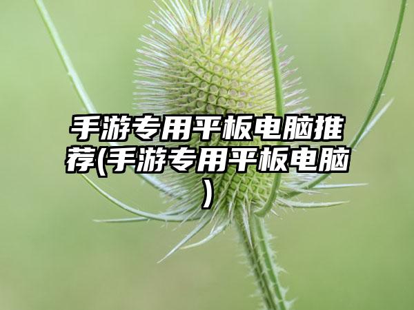 手游专用平板电脑推荐(手游专用平板电脑)