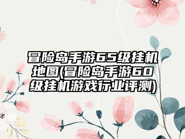 冒险岛手游65级挂机地图(冒险岛手游60级挂机游戏行业评测)