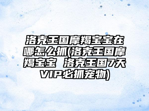 洛克王国摩羯宝宝在哪怎么抓(洛克王国摩羯宝宝 洛克王国7天VIP必抓宠物)