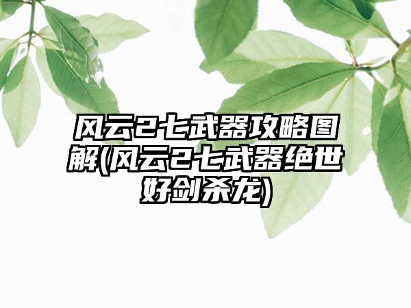 风云2七武器攻略图解(风云2七武器绝世好剑杀龙)
