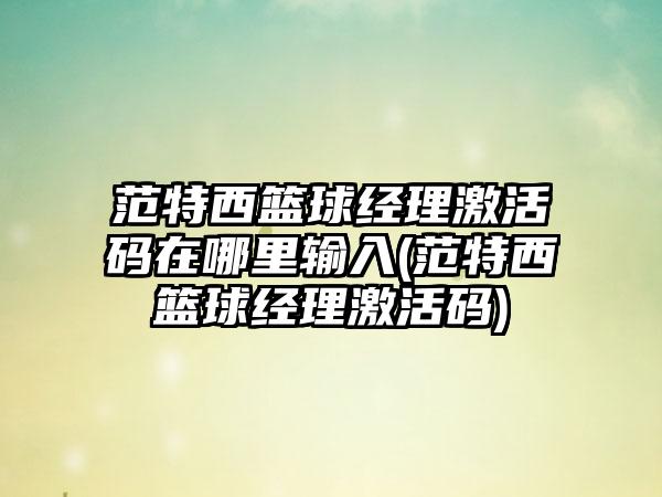 范特西篮球经理激活码在哪里输入(范特西篮球经理激活码)