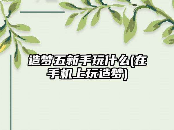 造梦五新手玩什么(在手机上玩造梦)