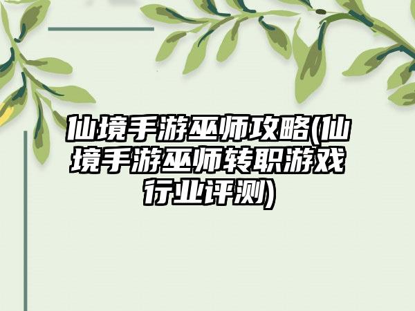 仙境手游巫师攻略(仙境手游巫师转职游戏行业评测)