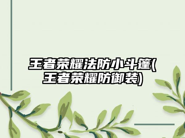 王者荣耀法防小斗篷(王者荣耀防御装)
