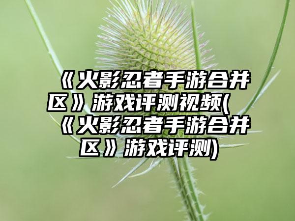 《火影忍者手游合并区》游戏评测视频(《火影忍者手游合并区》游戏评测)
