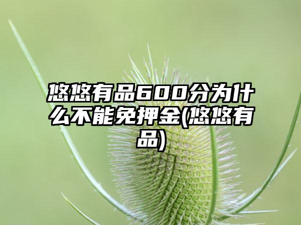 悠悠有品600分为什么不能免押金(悠悠有品)