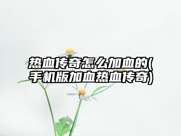 热血传奇怎么加血的(手机版加血热血传奇)