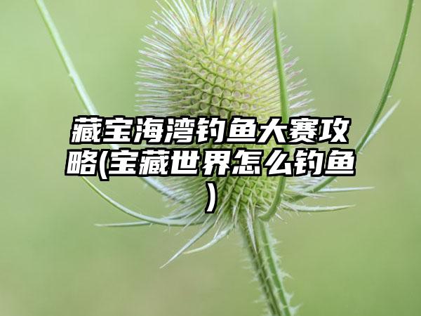 藏宝海湾钓鱼大赛攻略(宝藏世界怎么钓鱼)