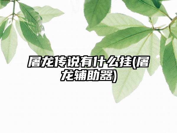 屠龙传说有什么挂(屠龙辅助器)