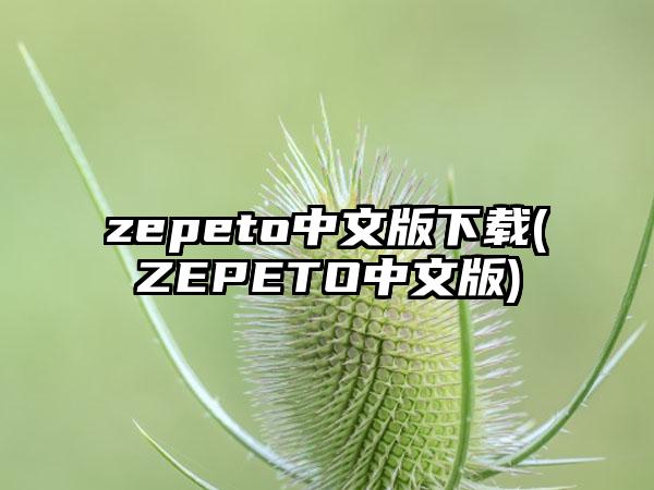 zepeto中文版下载(ZEPETO中文版)