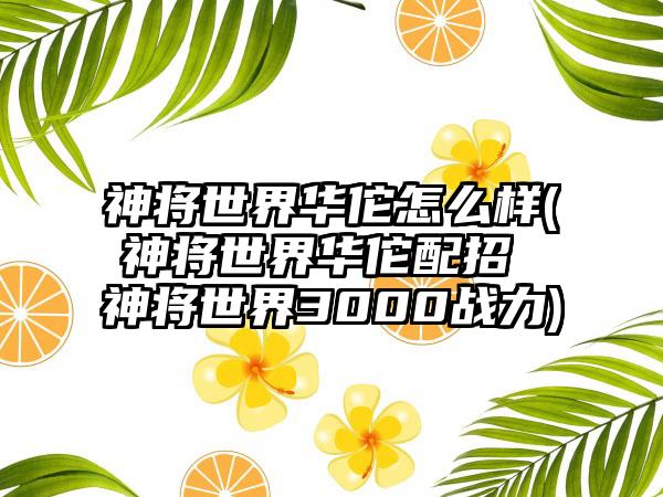 神将世界华佗怎么样(神将世界华佗配招 神将世界3000战力)