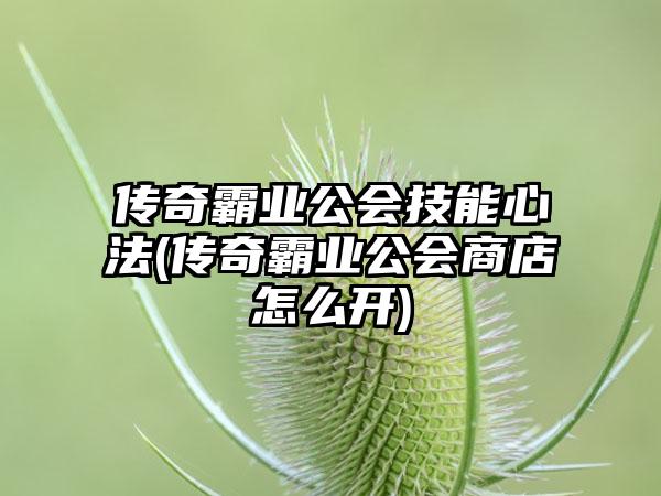 传奇霸业公会技能心法(传奇霸业公会商店怎么开)