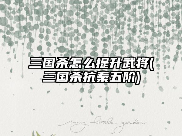 三国杀怎么提升武将(三国杀抗秦五阶)