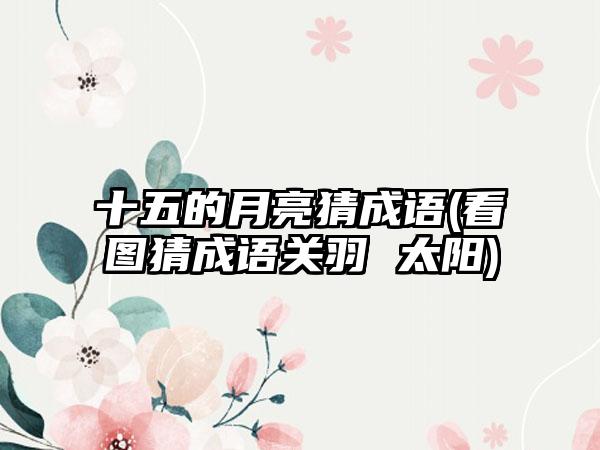 电视怎么插入游戏光盘(零几年接电视玩的光盘游戏)