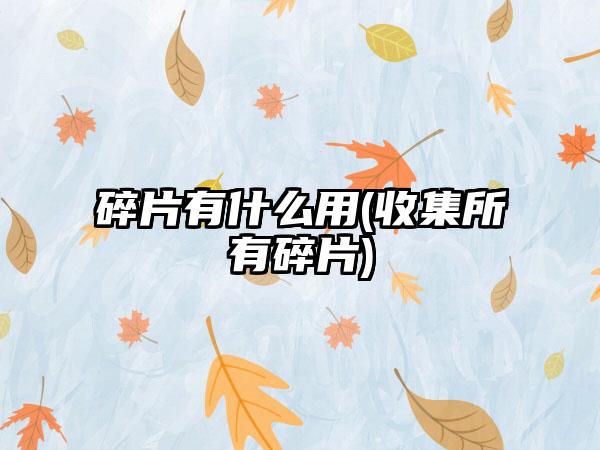 碎片有什么用(收集所有碎片)