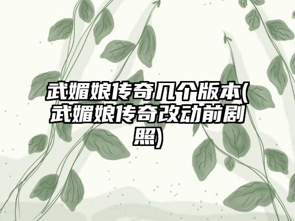 武媚娘传奇几个版本(武媚娘传奇改动前剧照)