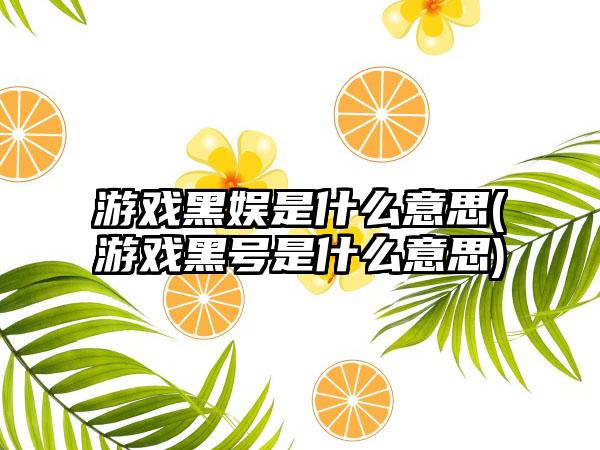 游戏黑娱是什么意思(游戏黑号是什么意思)