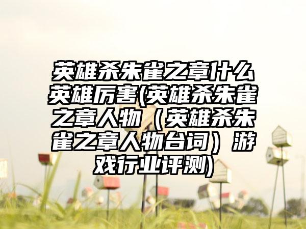 英雄杀朱雀之章什么英雄厉害(英雄杀朱雀之章人物（英雄杀朱雀之章人物台词）游戏行业评测)