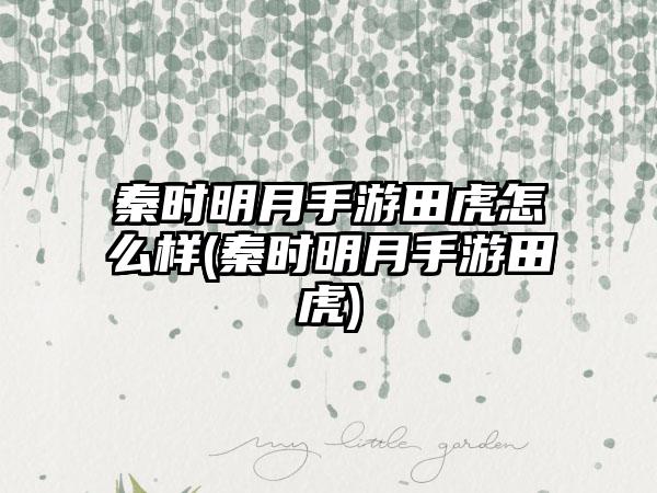 秦时明月手游田虎怎么样(秦时明月手游田虎)