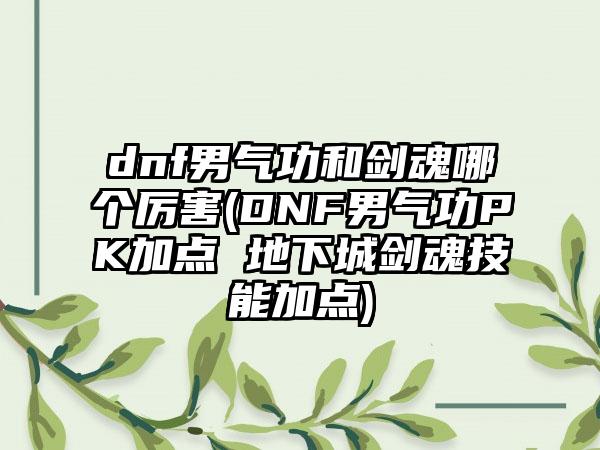 dnf男气功和剑魂哪个厉害(DNF男气功PK加点 地下城剑魂技能加点)