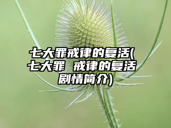 七大罪戒律的复活( 七大罪 戒律的复活 剧情简介)