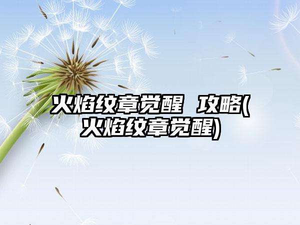 火焰纹章觉醒 攻略(火焰纹章觉醒)