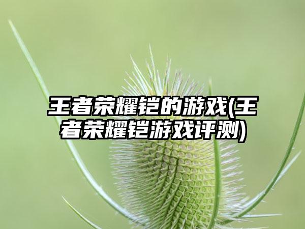 王者荣耀铠的游戏(王者荣耀铠游戏评测)
