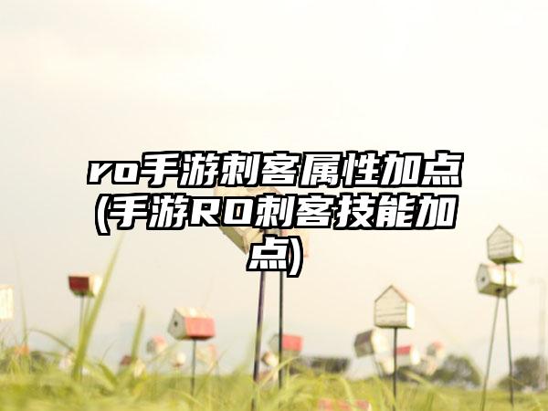 ro手游刺客属性加点(手游RO刺客技能加点)