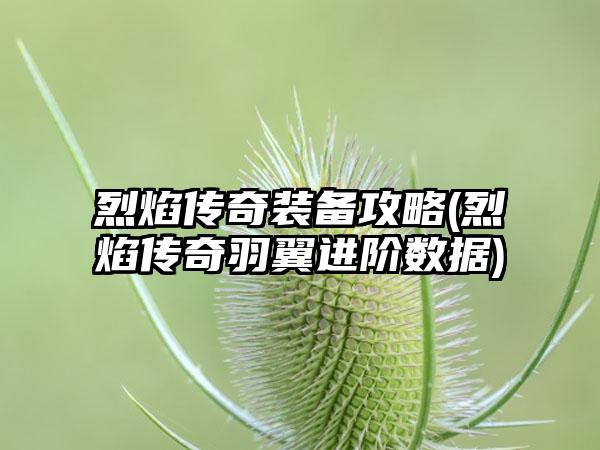烈焰传奇装备攻略(烈焰传奇羽翼进阶数据)