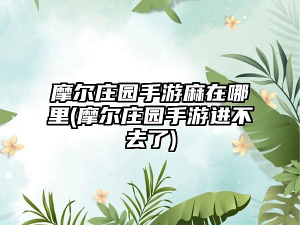 摩尔庄园手游麻在哪里(摩尔庄园手游进不去了)