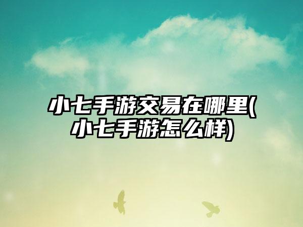 小七手游交易在哪里(小七手游怎么样)