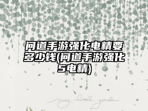 问道手游强化电精要多少钱(问道手游强化5电精)