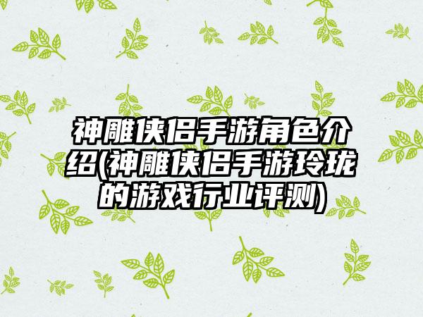 神雕侠侣手游角色介绍(神雕侠侣手游玲珑的游戏行业评测)