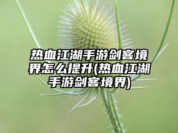 热血江湖手游剑客境界怎么提升(热血江湖手游剑客境界)