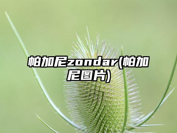 帕加尼zondar(帕加尼图片)