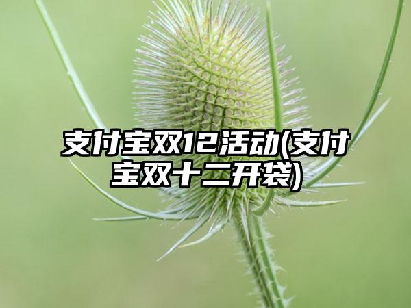 支付宝双12活动(支付宝双十二开袋)