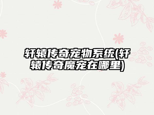 轩辕传奇宠物系统(轩辕传奇魔宠在哪里)